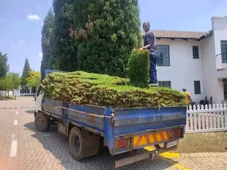 Supply and installa Lm Berea grass