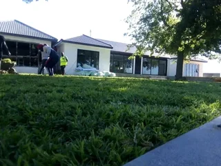 Supply and installa Lm Berea grass