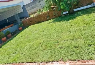 Supply and installa Lm Berea grass