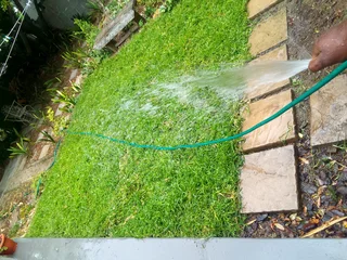 Roll on lawn Kikuyu grass