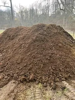 Roll on lawn Kikuyu grass