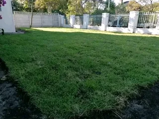 Delivery and installa call type of buffalo grass and Cynadone grass