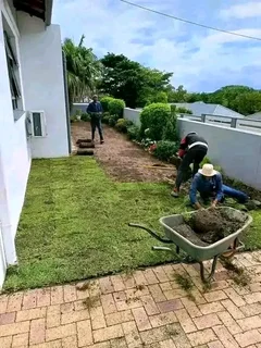 Delivery and installa call type of buffalo grass and Cynadone grass