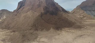 Delivery and installa call type of buffalo grass and Cynadone grass