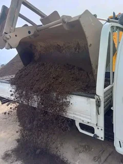 Delivery and installa call type of buffalo grass and Cynadone grass