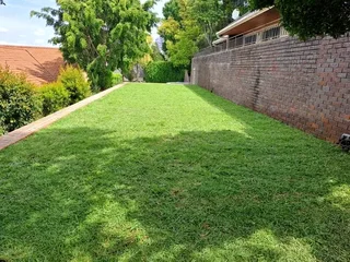 LM Berea grass and Kikuyu grass