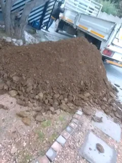 Roll on lawn Kikuyu grass