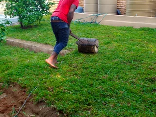 Supply and installa buffalo grass