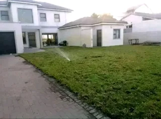 Roll on lawn Kikuyu grass and Cynadone grass weed free