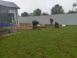 Roll on lawn Kikuyu grass and Cynadone grass weed free