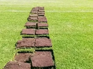 We do supply and installa call type of roll on lawn grass