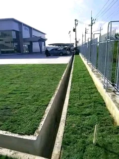 We do supply and installa call type of roll on lawn grass