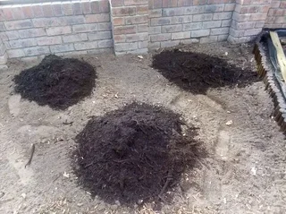 We do supply and installa call type of roll on lawn grass