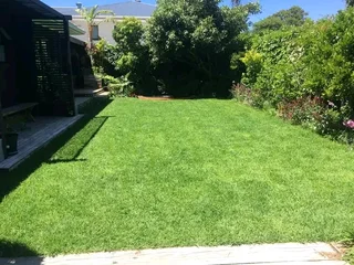 Roll on lawn Kikuyu grass