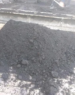 Roll on lawn Kikuyu grass