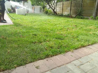Roll on lawn Kikuyu grass