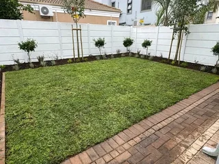 Roll on lawn Cynadone grass