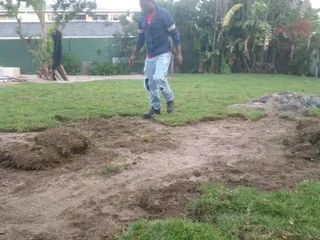 Roll on lawn Kikuyu grass