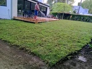 Roll on lawn Kikuyu grass