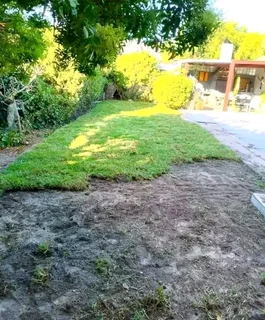 Supply and installa buffalo grass and Kikuyu grass