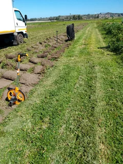 Supply and installa buffalo grass and Kikuyu grass