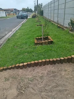 Supply and installa buffalo grass and Kikuyu grass