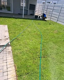 Roll on lawn buffalo grass and Cynadone grass and buffalo