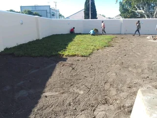 Roll on lawn buffalo grass and Cynadone grass and buffalo