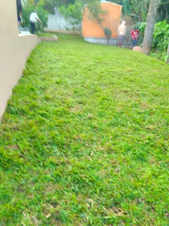 We do supply and installa call type of roll on lawn grass