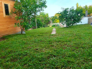 We do supply and installa call type of roll on lawn grass