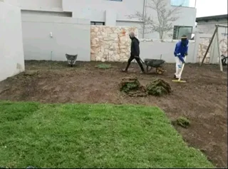 We do supply and installa call type of roll on lawn grass