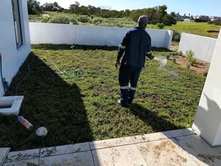 We do supply and installa call type of roll on lawn grass