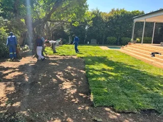 We do supply and installa Lm Berea grass