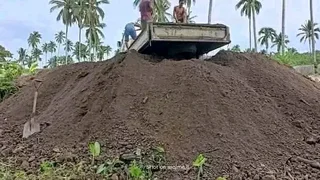 We do supply and installa Lm Berea grass