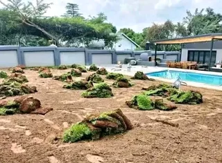 We do supply and installa Lm Berea grass