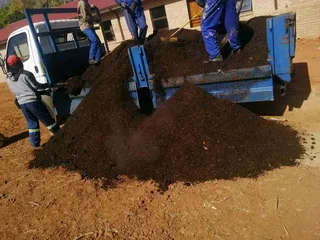 We do sell call type of roll on lawn grass