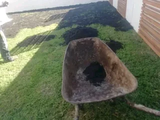 We do sell call type of roll on lawn grass