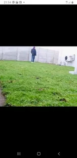 We do sell call type of roll on lawn grass