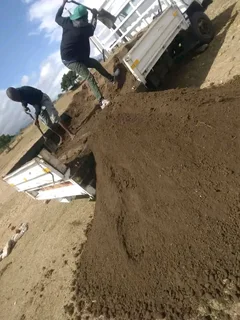 Supply and installa Kikuyu grass