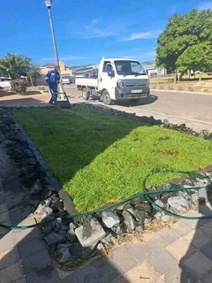 Supply and installa Kikuyu grass