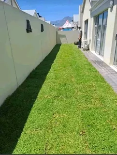 Supply and installa Lm Berea grass and Kikuyu grass