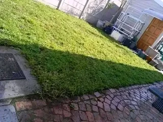 Supply and installa Lm Berea grass and Kikuyu grass