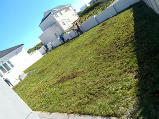 Supply and installa Lm Berea grass and Kikuyu grass