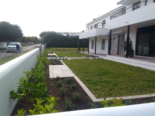 Roll on lawn Kikuyu grass