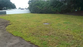 Roll on lawn Kikuyu grass