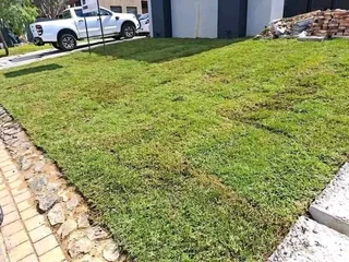 Roll on lawn Kikuyu grass
