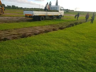 We do supply and installa Lm Berea grass