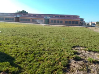 Delivery and installa  Cyndone grass and Kikuyu grass