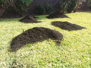 Delivery and installa  Cyndone grass and Kikuyu grass