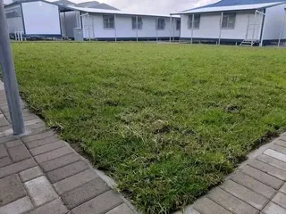 Supply and installa call type of roll on lawn Lm Berea grass